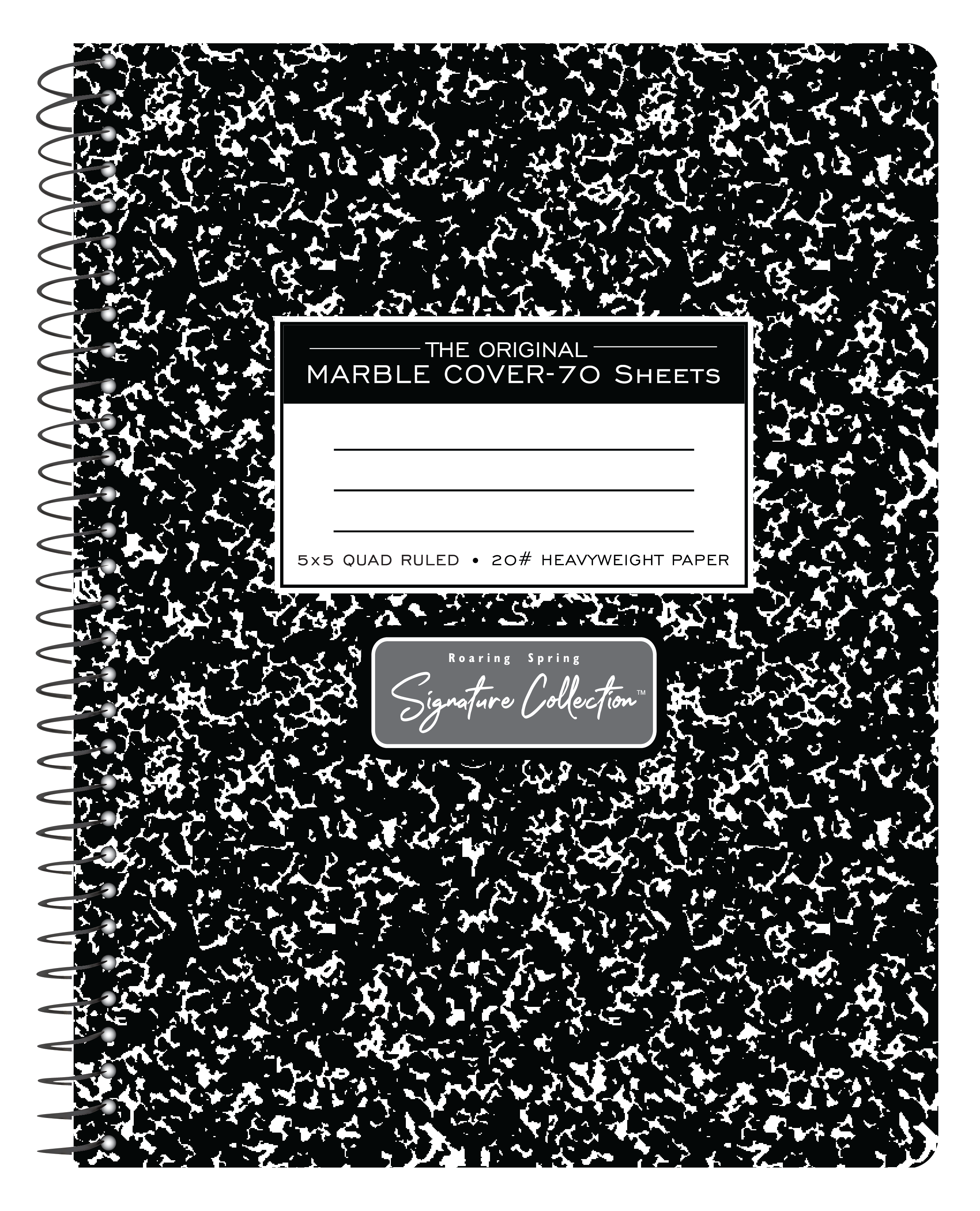 Roaring Spring Edison Quad Ruled Lab Notebook, 9.25 x 11 - 100 sheet