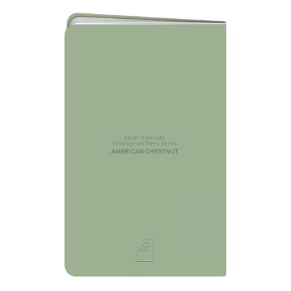 New Leaf Paper® 100% Recycled, Sustainably Designed Green Notes™, Blank Pages, 5.5" x 3.5", 24 Sheets, Chestnut Tree