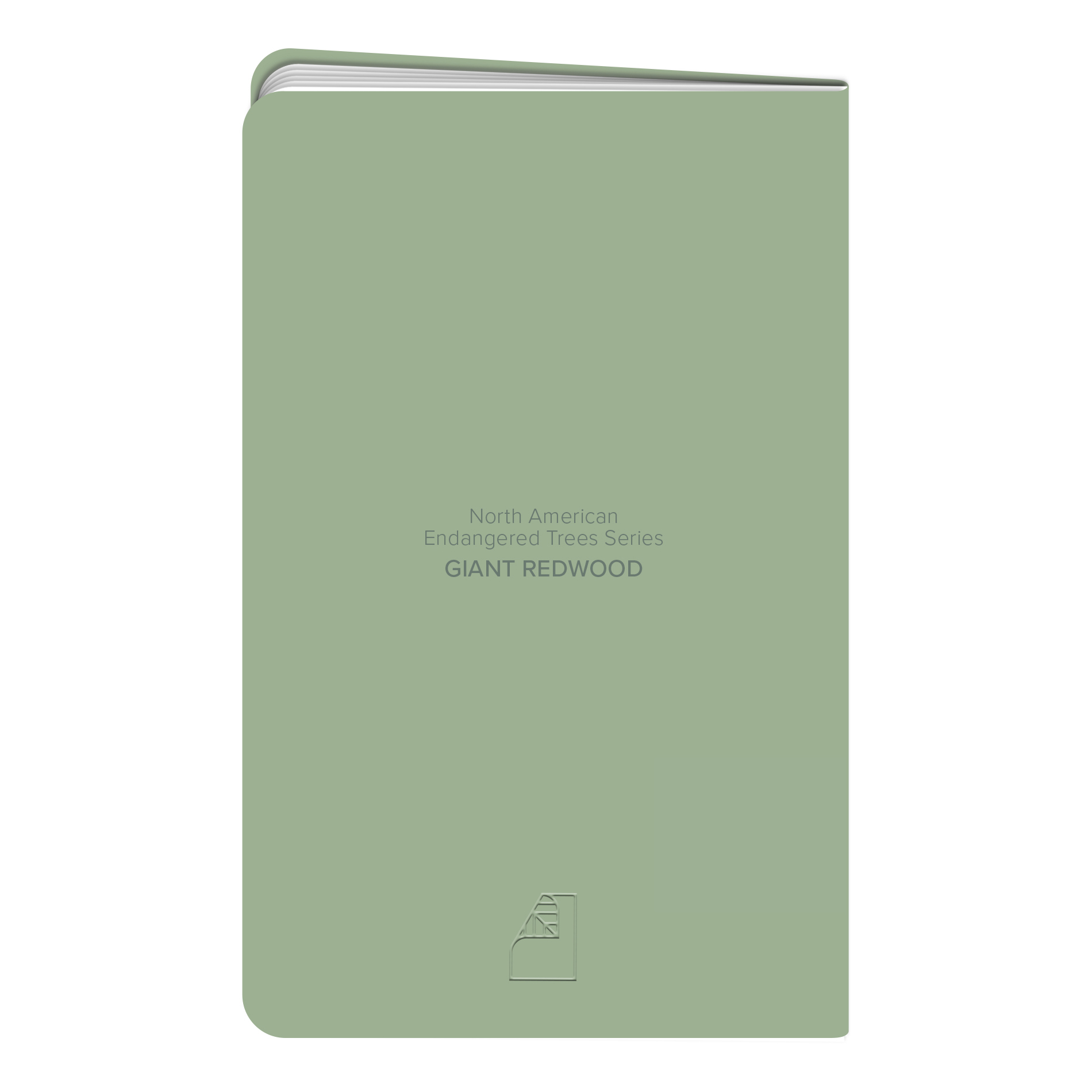 New Leaf Paper® 100% Recycled, Sustainably Designed Green Notes™, Lined Pages, 5.5" x 3.5", 24 Sheets, Redwood Tree