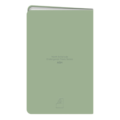 New Leaf Paper® 100% Recycled, Sustainably Designed Green Notes™, Dotted Pages, 5.5" x 3.5", 24 Sheets, Ash Tree