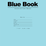 BLUE BOOK 11"x8.5" WM 6 SHT/12 PAGE