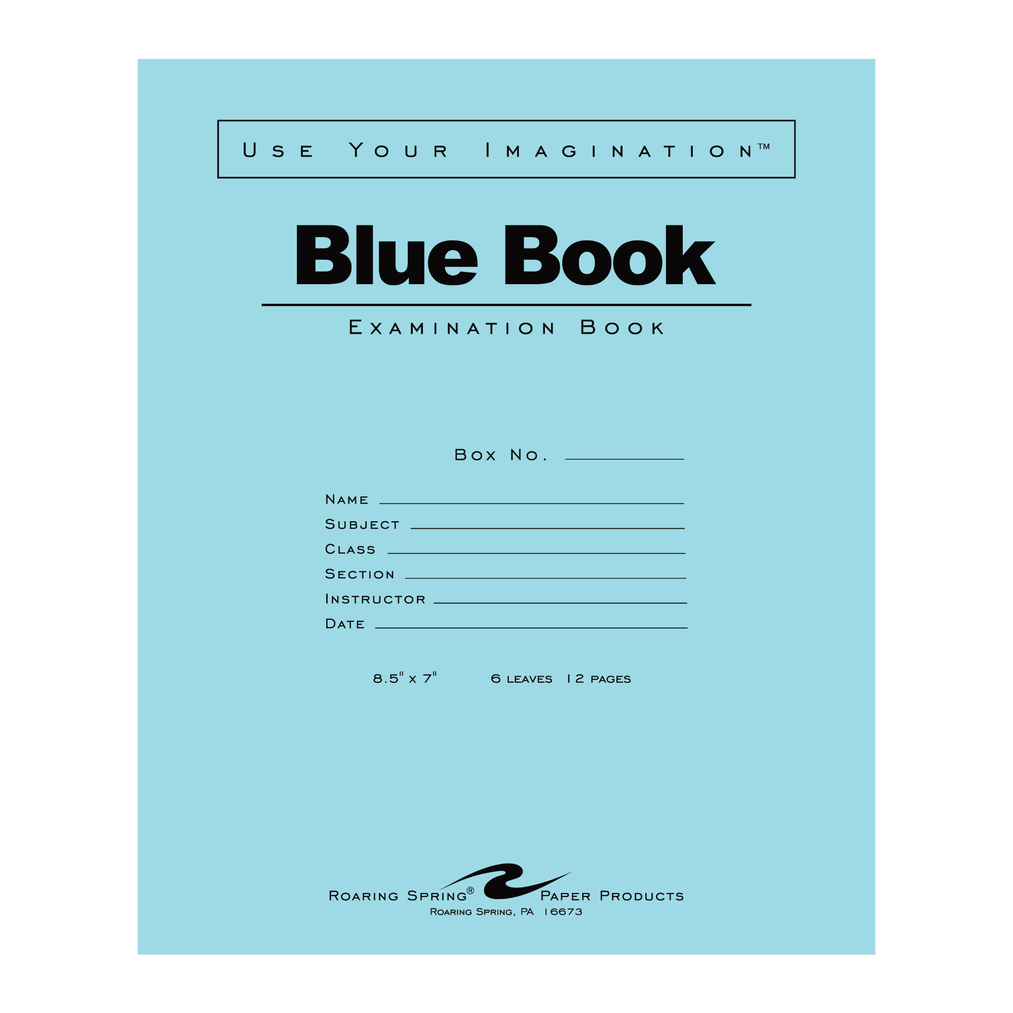 Blue Exam Book, Wide Ruled with Margin, 8.5" x 7", 6 Sheets/12 Pages