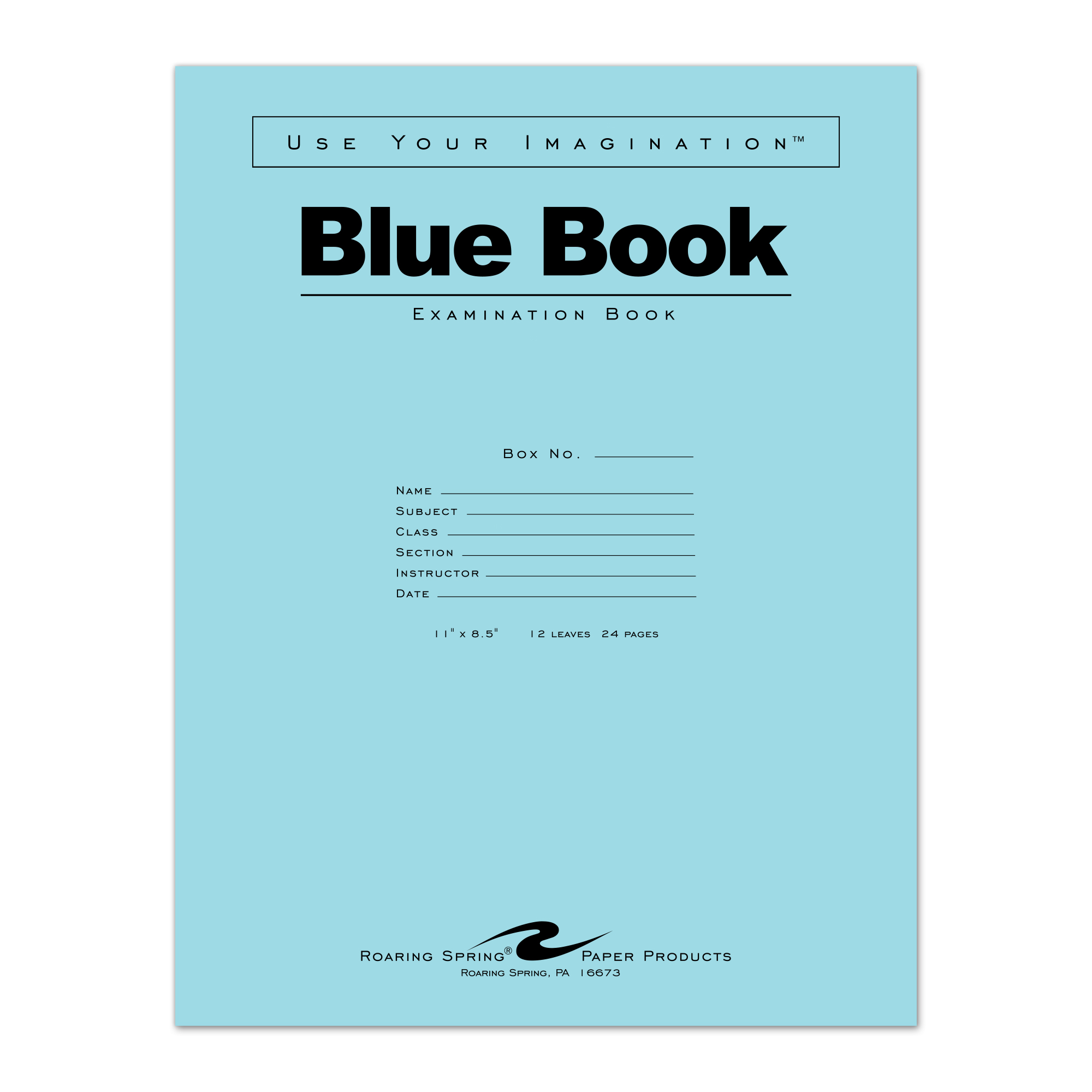 Blue Exam Book, Wide Ruled with Margin, 11" x 8.5", 12 Sheets/24 Pages