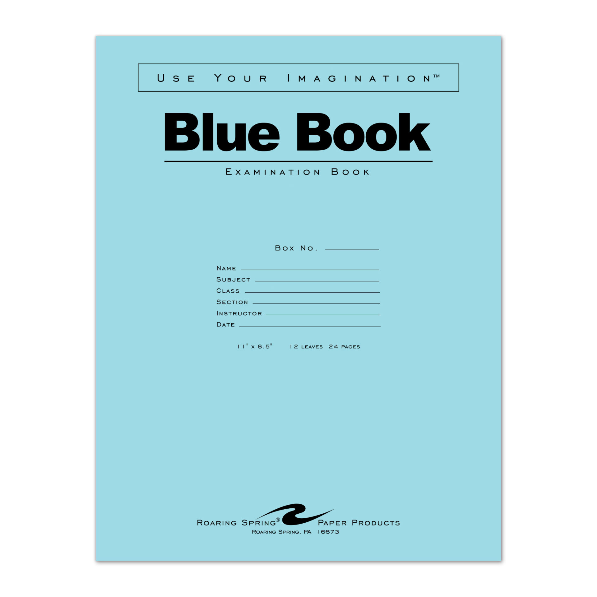 Blue Exam Book, Wide Ruled with Margin, 11" x 8.5", 12 Sheets/24 Pages