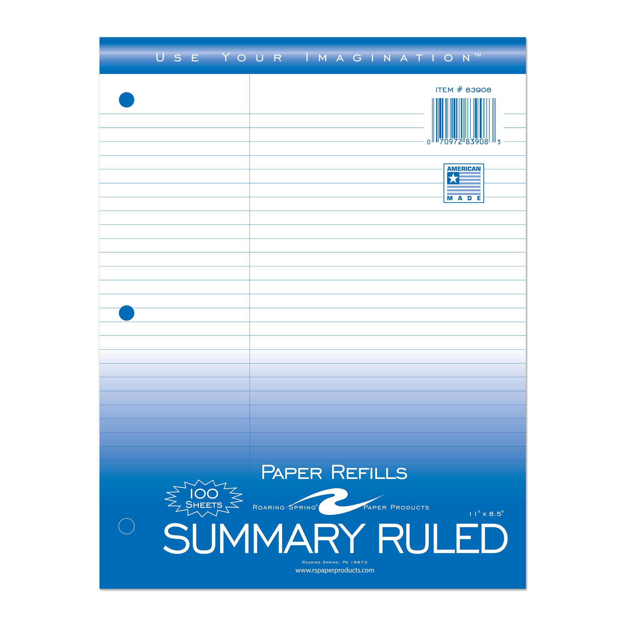 Loose Leaf Filler Paper, College Ruled with Summary Margin, 100 Sheets