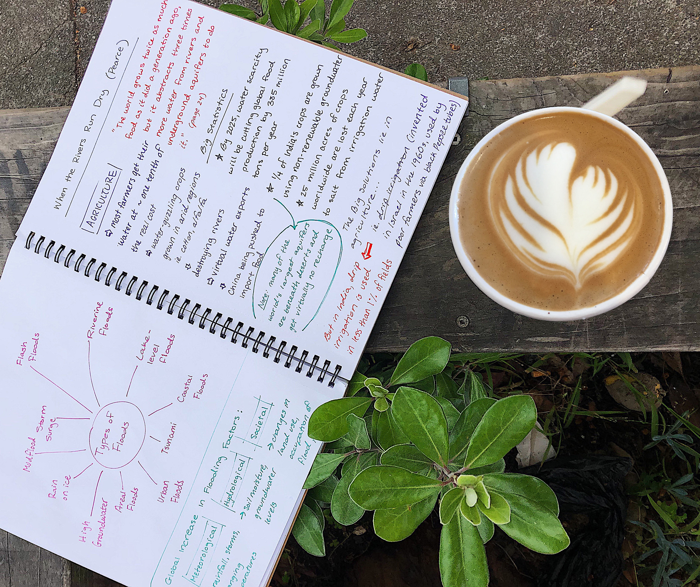 Unruled Notebook, Blank Pages, Heavyweight 60 lb. Paper